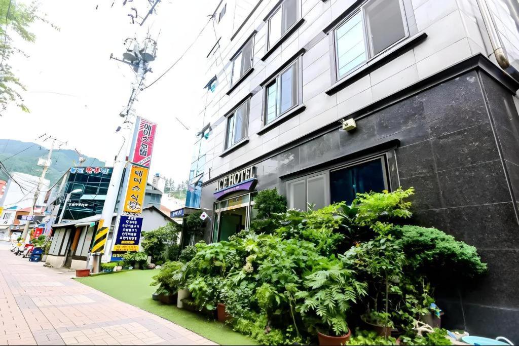 Ace Hotel Ulleungdo Dış mekan fotoğraf