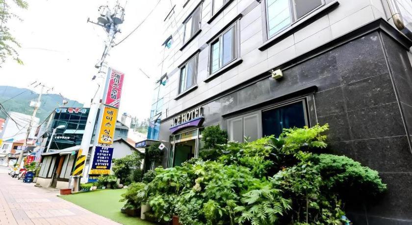 Ace Hotel Ulleungdo Dış mekan fotoğraf